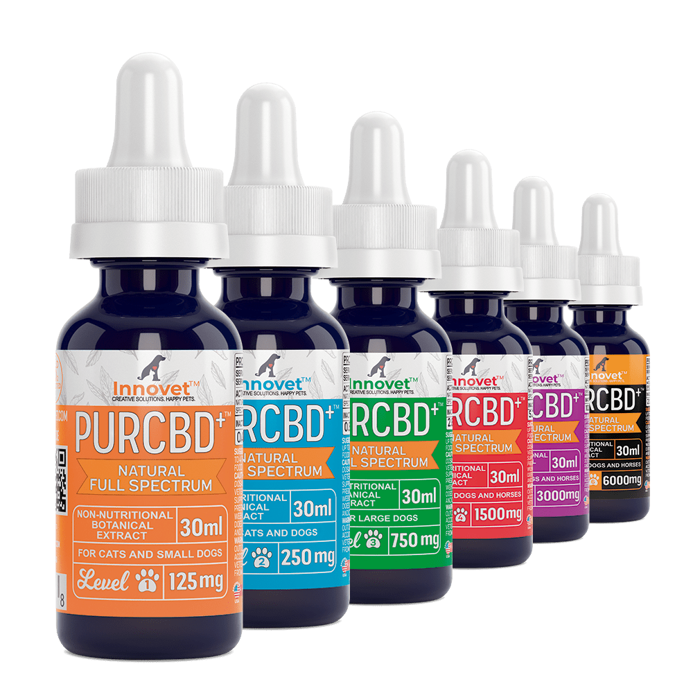 Innovet PurCBD Oil for Dogs
