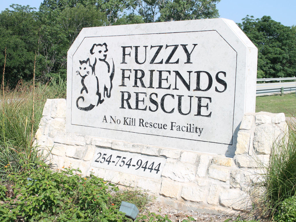 Fuzzy Friends Rescue logo