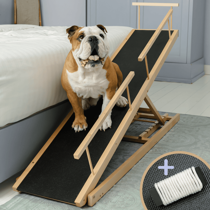 Prior Pet Dog Ramp for Bed