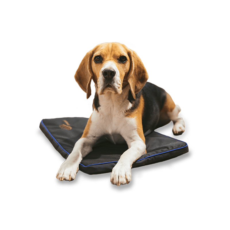 PetsPEMF Petspemf Pad