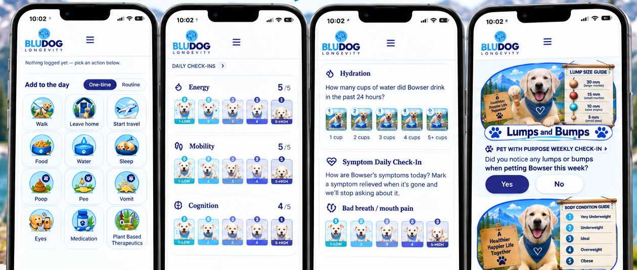 Phone screens showing the MEtech dashboard